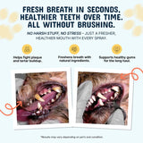 Pet Dental Tartar Care Spray for Dogs & Cats-2 PCS