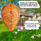 Fake Wasp Nest Hanging Lantern 5 Piece
