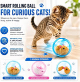 Cute Pet Spin & Fun Parent-Child Pet Interactive Toy 2 Pack