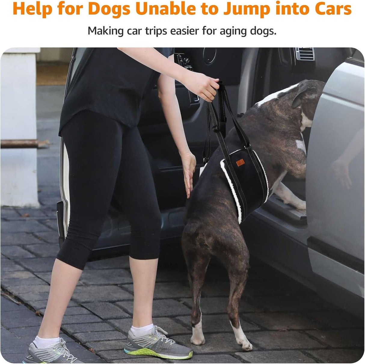 Adjustable Dog Lift Support Harness