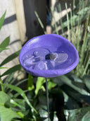 🔥Flash Sale: 49% OFF Sitewide! 🐝Bee Watering Station. 🦋Butterfly Puddler. Hummingbird Drinking Cups