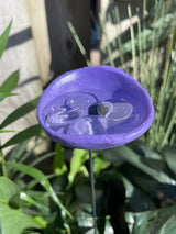 🔥Flash Sale: 49% OFF Sitewide! 🐝Bee Watering Station. 🦋Butterfly Puddler. Hummingbird Drinking Cups