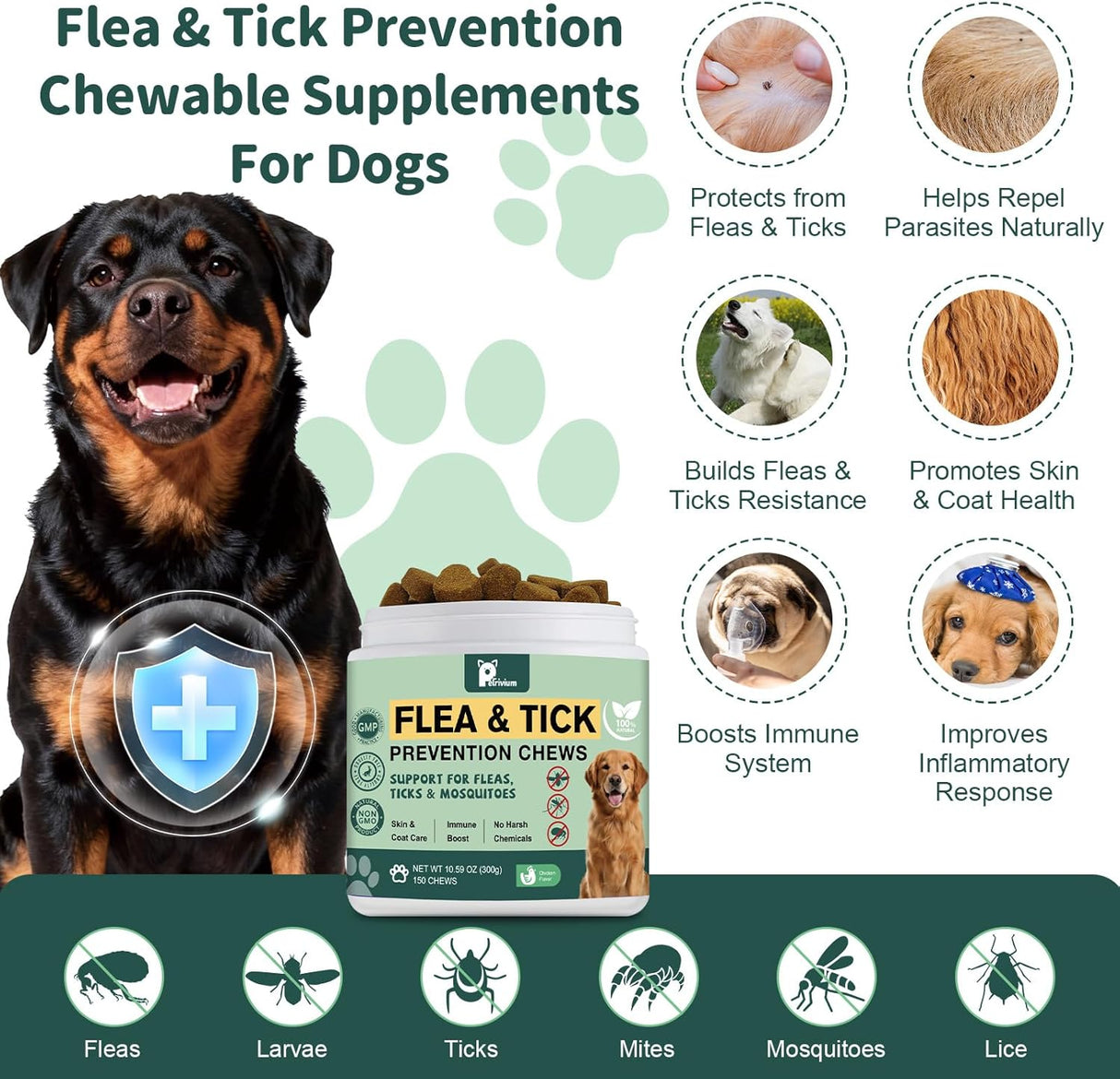 Dogs Flea and Tick Prevention Treatment Chewable