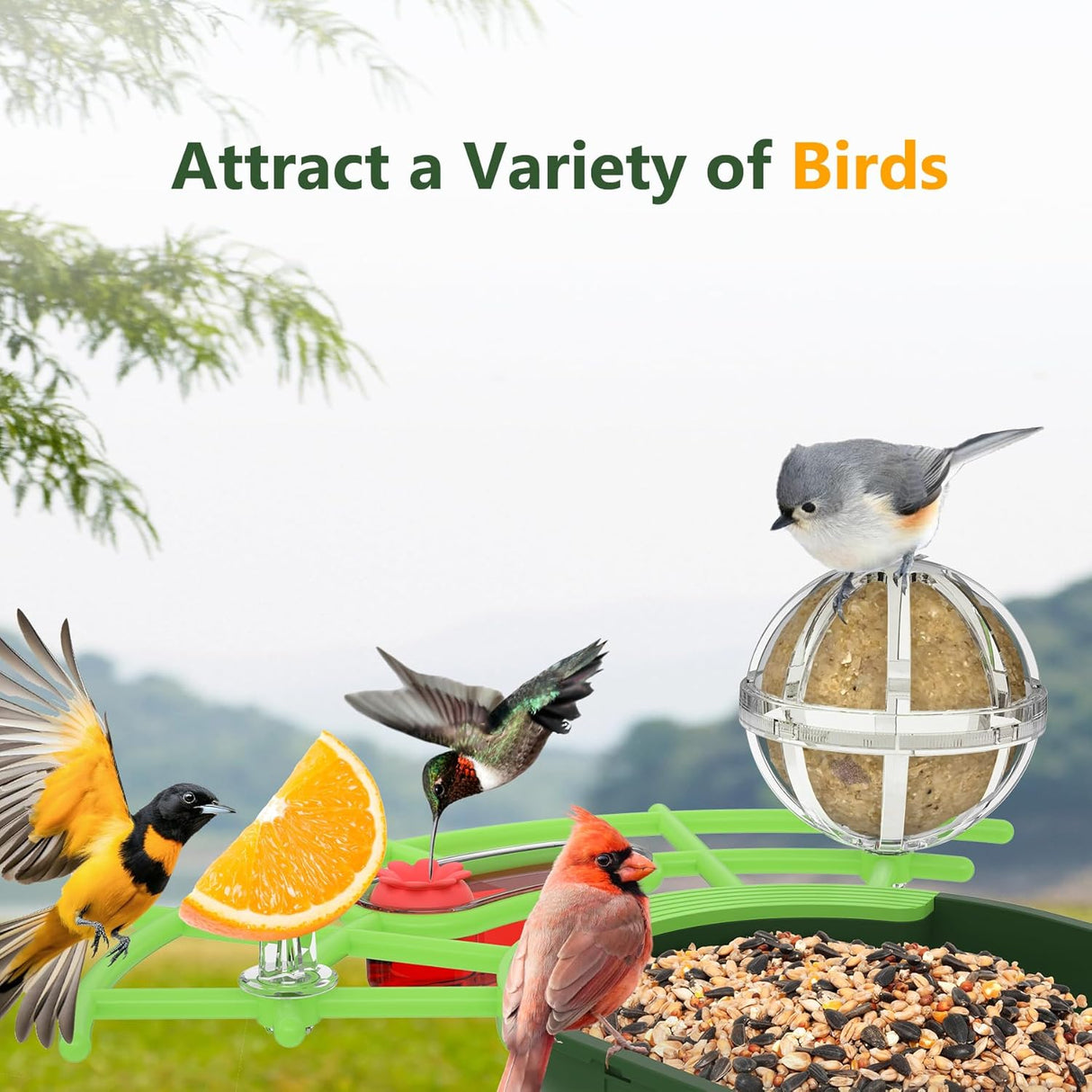 Centvicam Smart Bird Feeder with Camera – 2K HD Live View