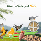 Centvicam Smart Bird Feeder with Camera – 2K HD Live View
