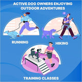 Pet Running Tether Exercise Rope Set Reflective Night Running Sports  Pack