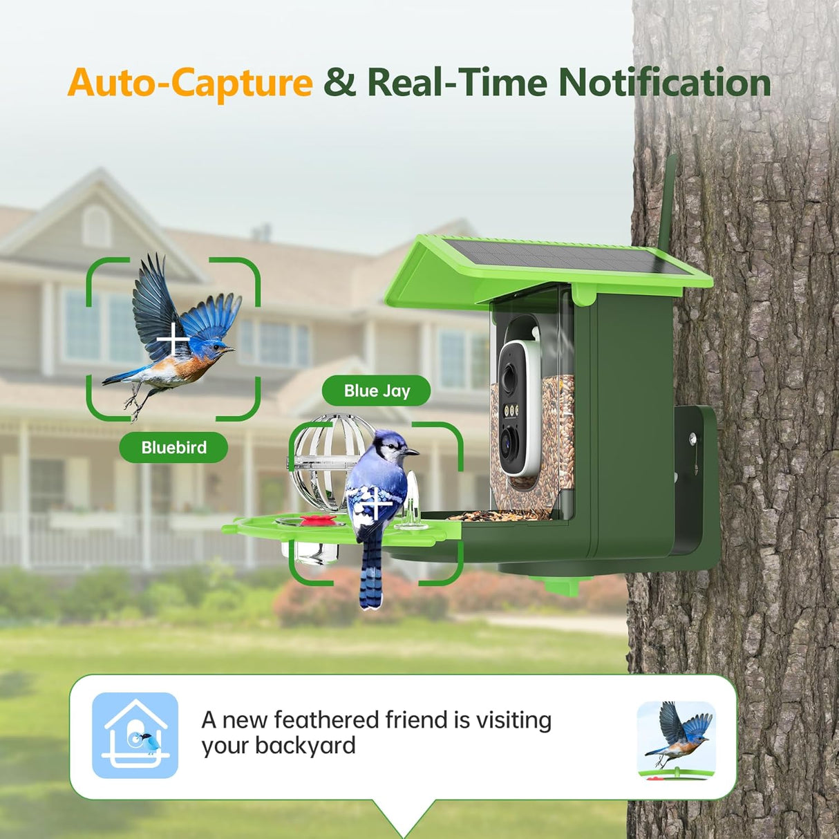 Centvicam Smart Bird Feeder with Camera – 2K HD Live View