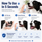 Pet Dental Tartar Care Spray for Dogs & Cats-2 PCS