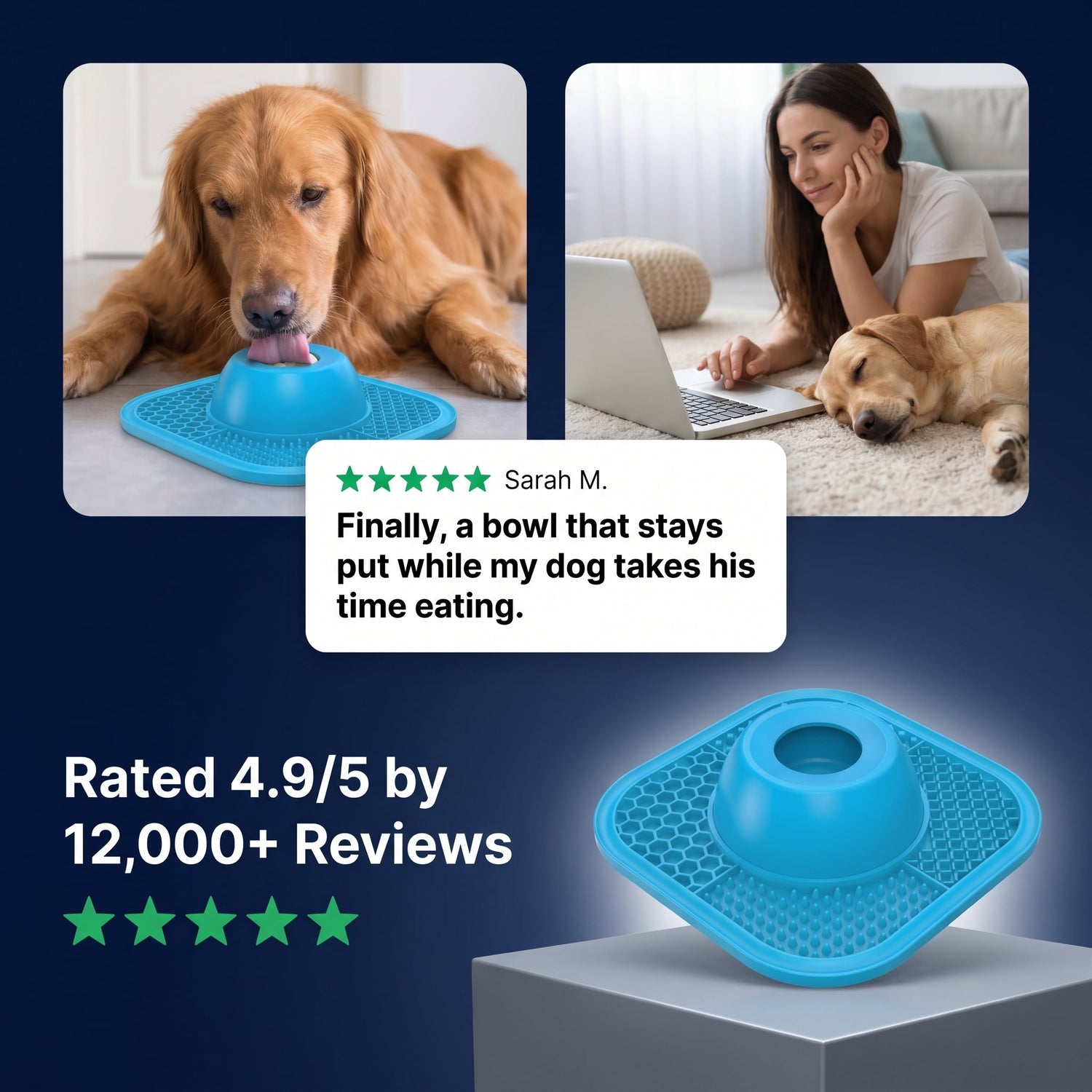 The Zen Dog Soothing Bowl