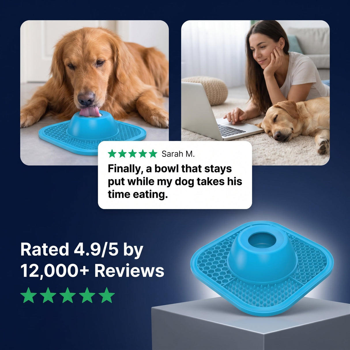 The Zen Dog Soothing Bowl