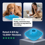 The Zen Dog Soothing Bowl