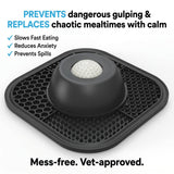The Zen Dog Soothing Bowl