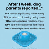 The Zen Dog Soothing Bowl