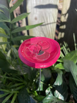 🔥Flash Sale: 49% OFF Sitewide! 🐝Bee Watering Station. 🦋Butterfly Puddler. Hummingbird Drinking Cups