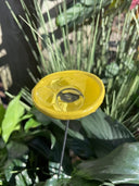 🔥Flash Sale: 49% OFF Sitewide! 🐝Bee Watering Station. 🦋Butterfly Puddler. Hummingbird Drinking Cups