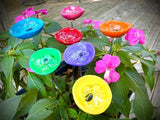 🔥Flash Sale: 49% OFF Sitewide! 🐝Bee Watering Station. 🦋Butterfly Puddler. Hummingbird Drinking Cups