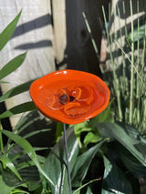 🔥Flash Sale: 49% OFF Sitewide! 🐝Bee Watering Station. 🦋Butterfly Puddler. Hummingbird Drinking Cups