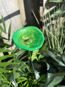 🔥Flash Sale: 49% OFF Sitewide! 🐝Bee Watering Station. 🦋Butterfly Puddler. Hummingbird Drinking Cups
