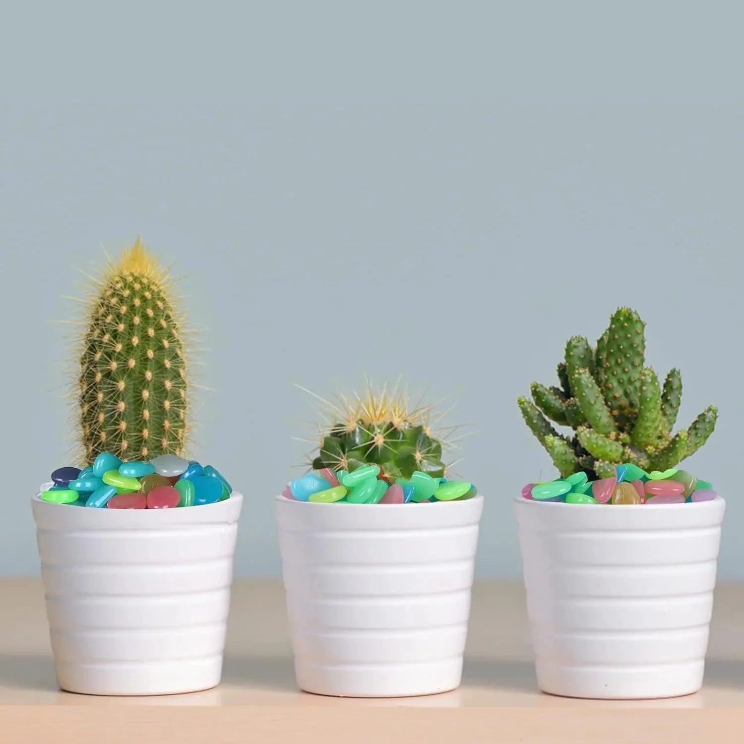 🌈 Colorful Glow in the Dark Garden Stones
