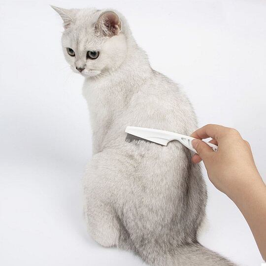 Multifunctional Pet Hair Comb Flea and Tear Stain Removal 2 Pcs