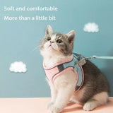 Night Reflective Pet Leash for Small Dogs & Cats