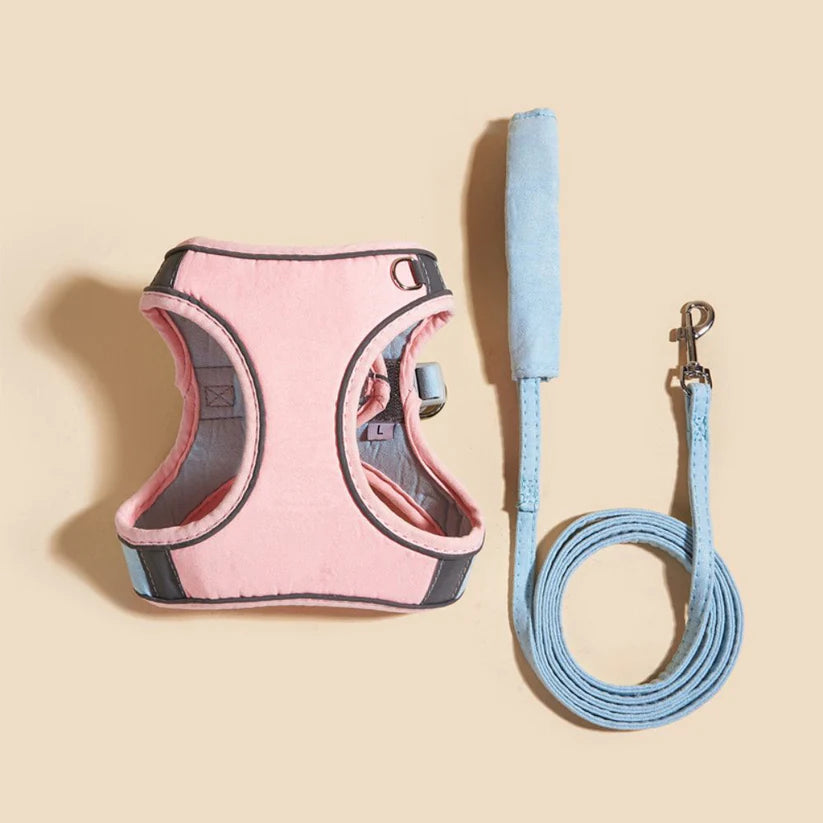 Night Reflective Pet Leash for Small Dogs & Cats