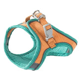 Night Reflective Pet Leash for Small Dogs & Cats