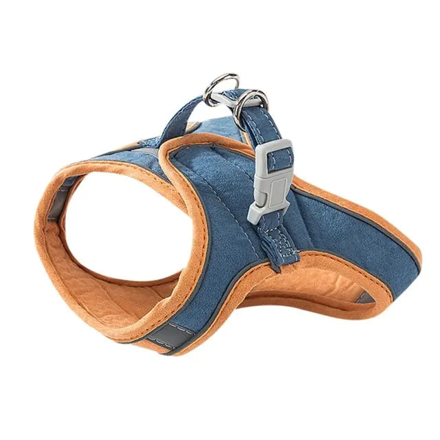 Night Reflective Pet Leash for Small Dogs & Cats