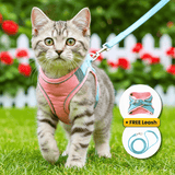 Night Reflective Pet Leash for Small Dogs & Cats