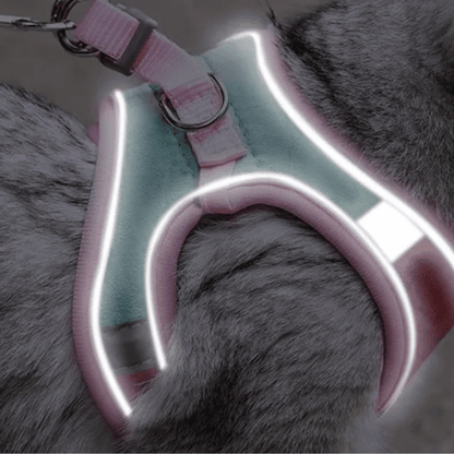 Night Reflective Pet Leash for Small Dogs & Cats