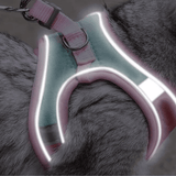 Night Reflective Pet Leash for Small Dogs & Cats