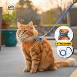 Night Reflective Pet Leash for Small Dogs & Cats