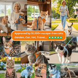 Night Reflective Pet Leash for Small Dogs & Cats