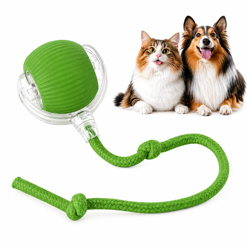 The Ultimate Auto-Moving Chase Ball for Cats & Dogs 2 Pack