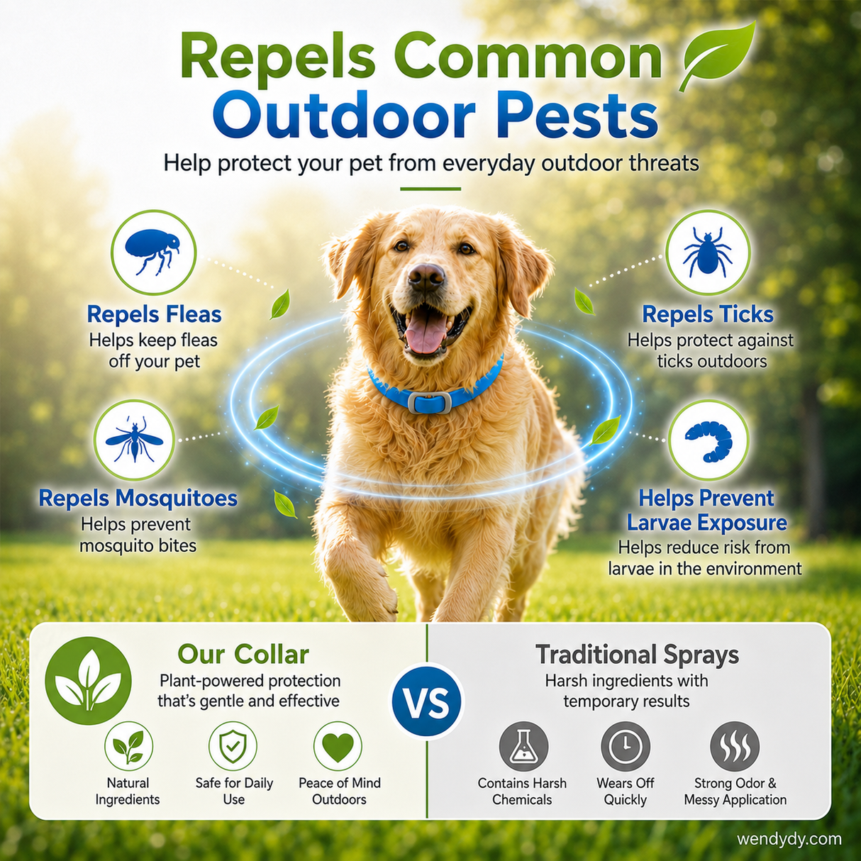 Natural Essential Oil Pet Pest Repellent Collar