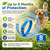 Natural Essential Oil Pet Pest Repellent Collar