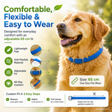 Natural Essential Oil Pet Pest Repellent Collar