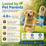 Natural Essential Oil Pet Pest Repellent Collar