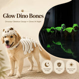 Glow Dinosaur Skeleton Pet Costume