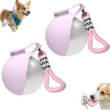 2-in-1 Portable Foldable 304 Stainless Steel Hook Water Feeder