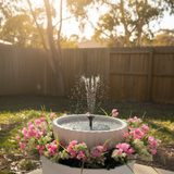 Solar Fountain - Bring your own bowl