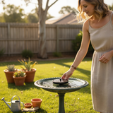 Solar Fountain - Bring your own bowl