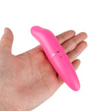 Dolphin Egg Vibrator & Mini Vibrator Vibration Stimulation