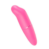 Dolphin Egg Vibrator & Mini Vibrator Vibration Stimulation