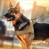 Chest Harness & Leash Set for Large Dogs