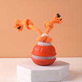 Rope Runner Interactive Squeaky Rechargeable Small Dog Ball & Rope Toy