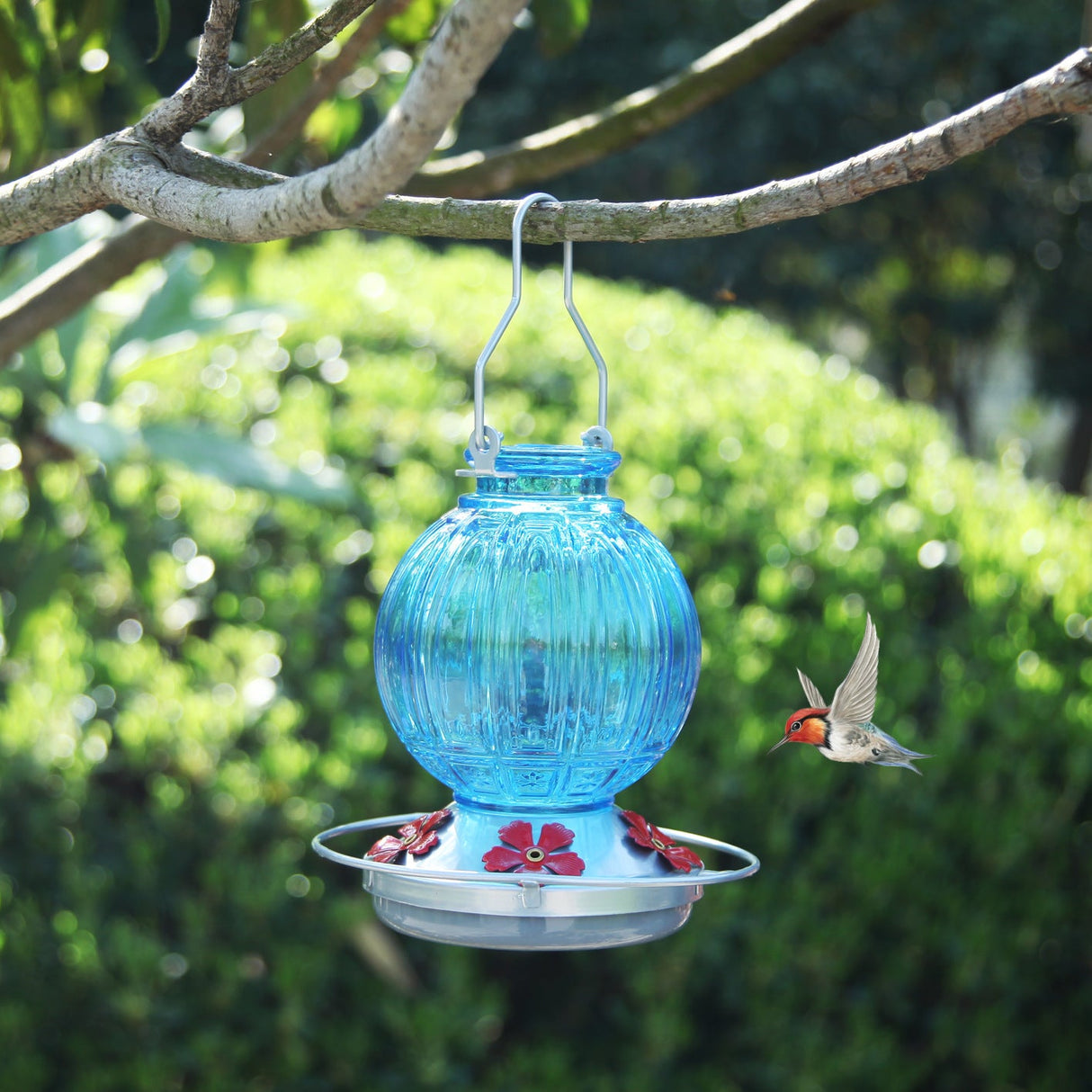Glass Hummingbird Feeder
