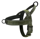 Chest Harness & Leash Set for Large Dogs
