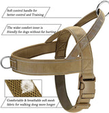 Chest Harness & Leash Set for Large Dogs