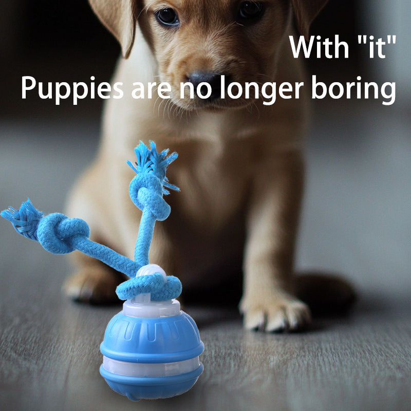 Rope Runner Interactive Squeaky Rechargeable Small Dog Ball & Rope Toy